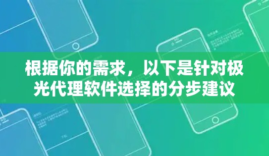 根据你的需求，以下是针对极光代理软件选择的分步建议