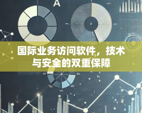 国际业务访问软件，技术与安全的双重保障