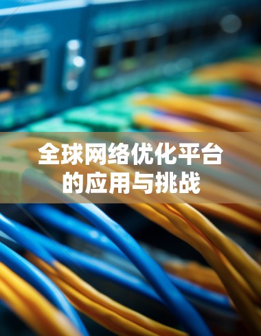 全球网络优化平台的应用与挑战